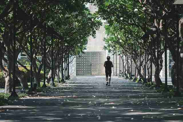 鉴黄师官网入口实时热搜全网热议榜，历史沿革冷静思考